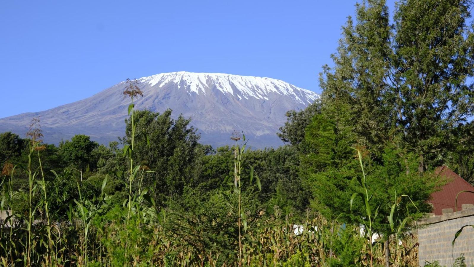 Greenfield Homestay -Full Board Oloitokitok 외부 사진